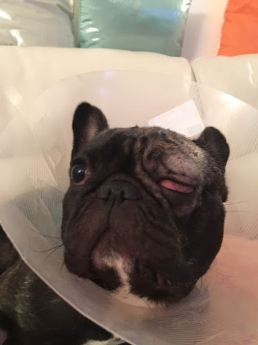 38 Quai Henri IV, 75004 Paris