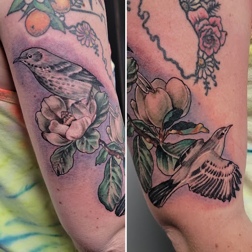 Explore raccoon tattoo ideas, creative tattoo ideas in Debary, available at Divine Line Tattoos