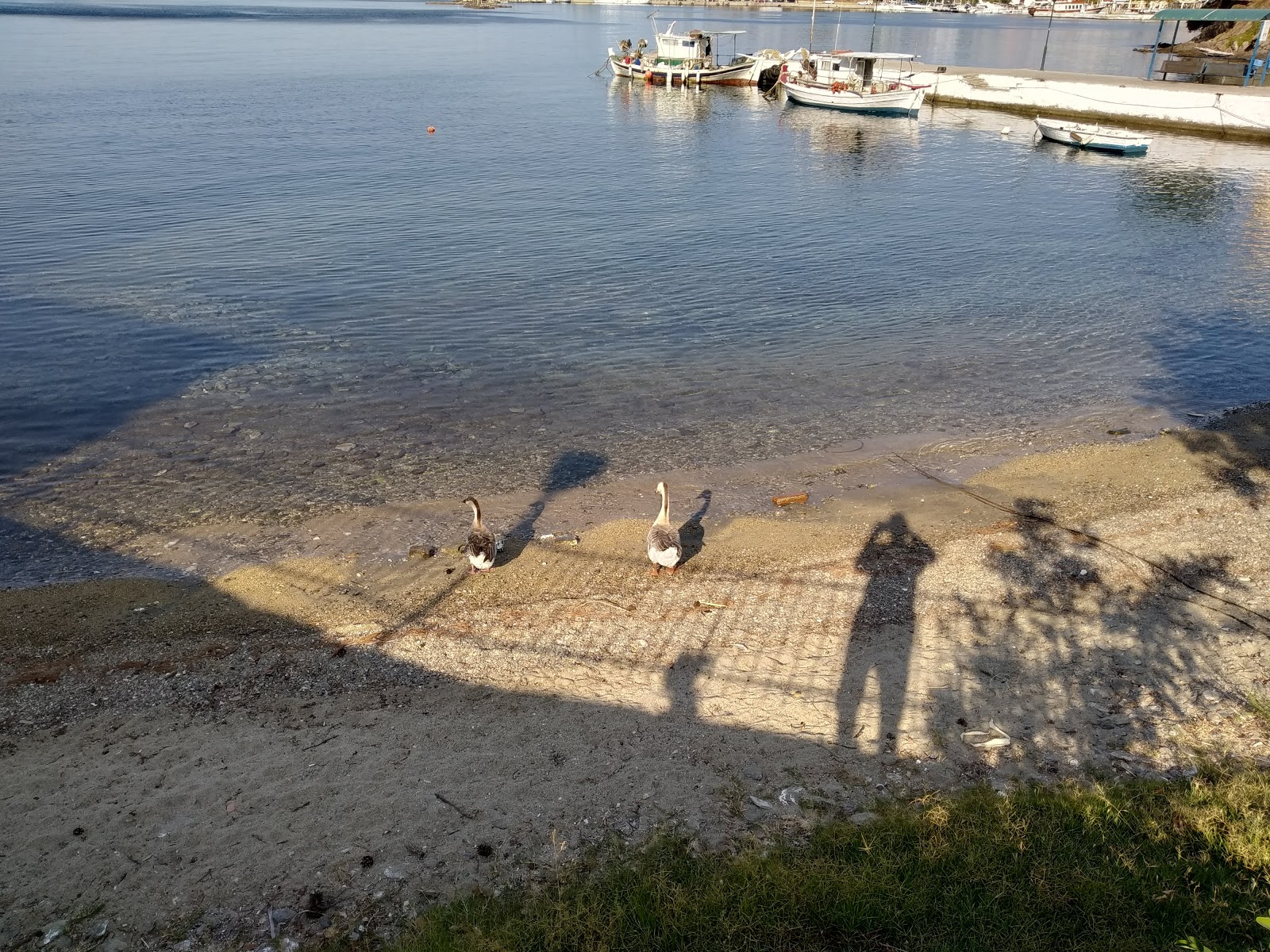 Santala beach'in fotoğrafı ve yerleşim