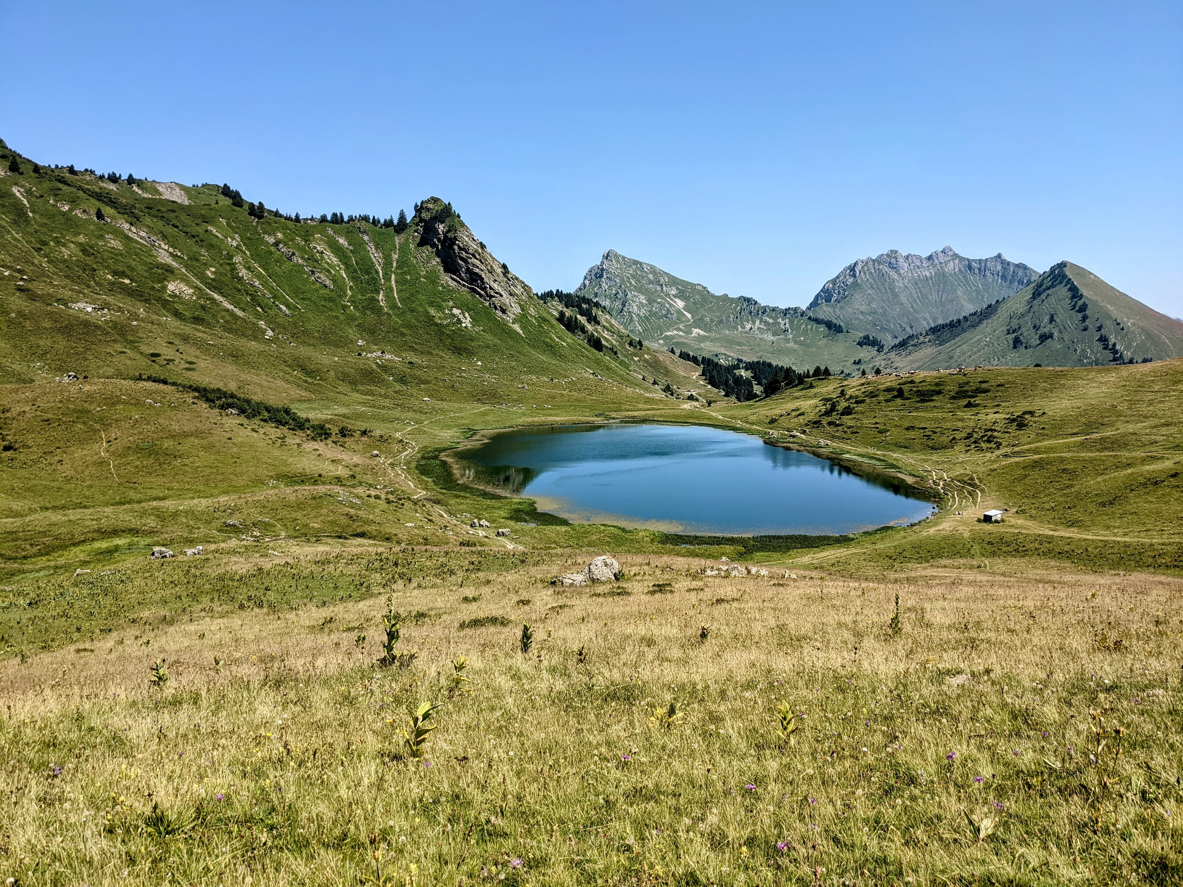 Photo n° 5 de l'avis de laurents71. fait le 19/07/2022 à 19:24