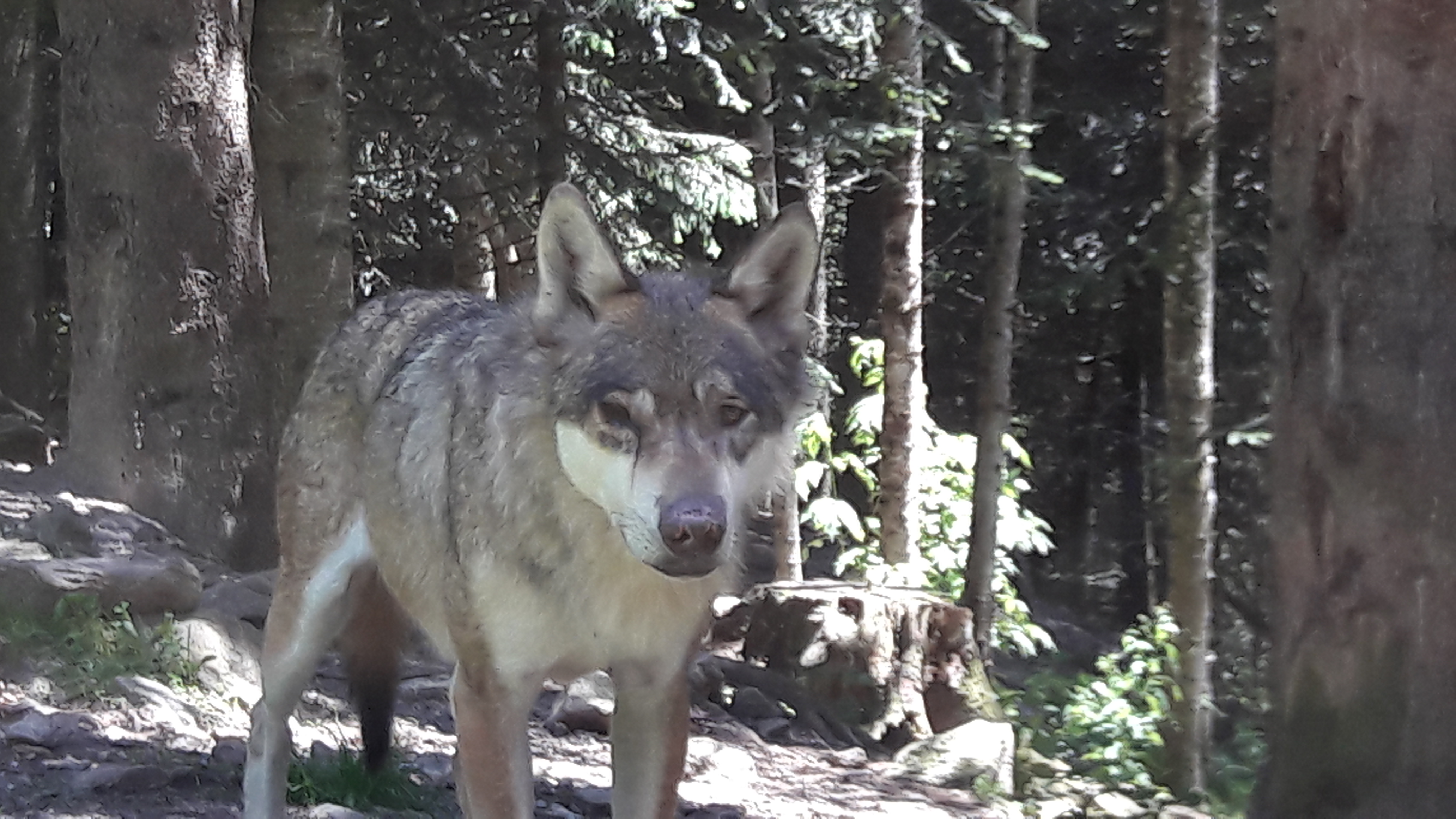 Photo n° 12 de l'avis de Ambre.h fait le 05/03/2017 à 01:43