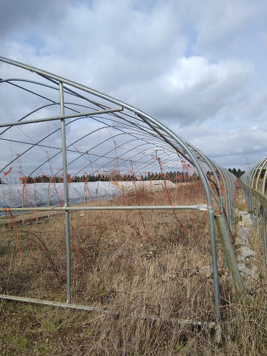 Lumber Store «Bargain Barn Building Material», reviews and photos, 4952 Portland Rd NE, Salem, OR 97305, USA