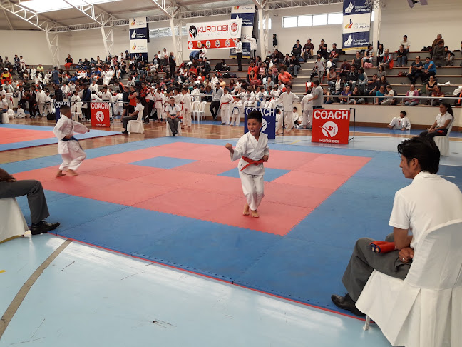 Comentarios y opiniones de CLUB DE KARATE-DO "TIGRE"