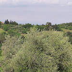 Photo n°2 de l'avis de Jörn.a fait le 09/05/2023 à 21:32 sur le  Fattoria Di Colleoli à Palaia