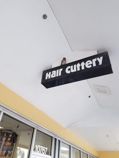 Hair Salon «Hair Cuttery», reviews and photos, 10767 NW 58th St, Doral, FL 33178, USA
