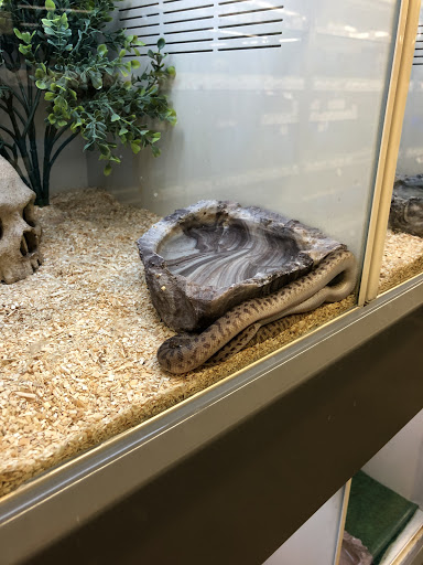 Pet Supply Store «Pet Supplies Plus», reviews and photos, 1937 FL-60, Valrico, FL 33594, USA