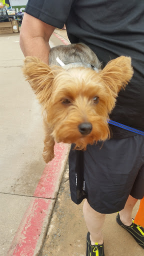 Water Park «Hawaiian Falls Garland», reviews and photos, 4550 N Garland Ave, Garland, TX 75040, USA