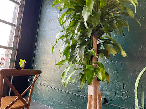 Coffee Shop «Adbibo Coffee Company LLC», reviews and photos, 10825 Midlothian Turnpike #105, Richmond, VA 23235, USA