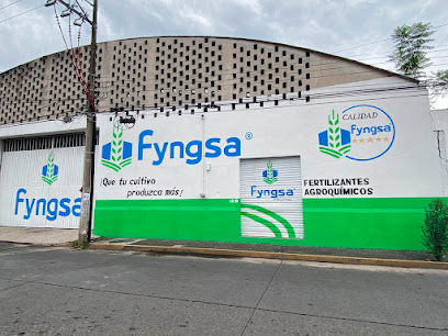 Fyngsa - Coatepec