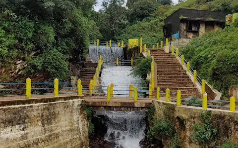 Honnammana Halla Falls image