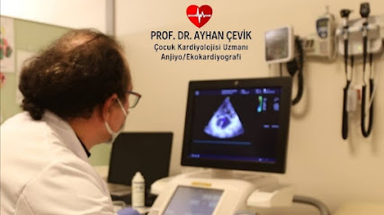 Prof.Dr.Ayhan Çevik