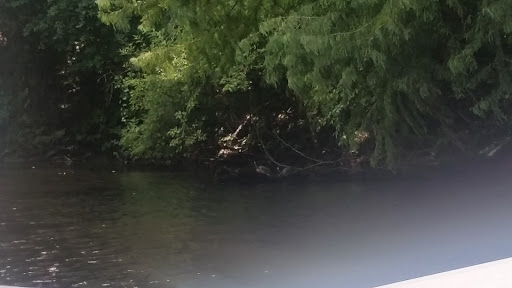 Seafood Market «Ocean Fish Market», reviews and photos, 302 Kingston St, Conway, SC 29526, USA