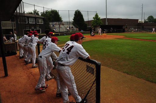 The Batting Cage