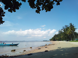 Pantai Tanjung Pinggir'in fotoğrafı geniş bir kıyı şeridi ile birlikte