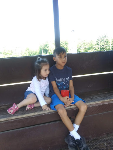 Restaurant «Hidden Valley Animal Adventure», reviews and photos, 2887 Royce Rd, Varysburg, NY 14167, USA