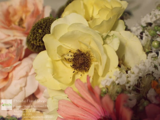 Florist «Phoebe Floral Shop», reviews and photos, 2102 Hamilton St, Allentown, PA 18104, USA