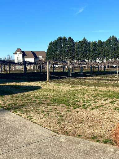 Hotel «Chateau Elan Winery & Resort», reviews and photos, 100 Rue Charlemagne Dr, Braselton, GA 30517, USA