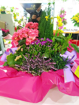 A LA FLEUR DE NICE à Espalion