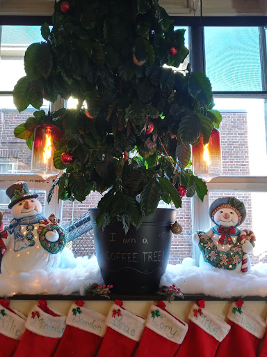 Coffee Shop «Starbucks», reviews and photos, 41 E Main St, Moorestown, NJ 08057, USA