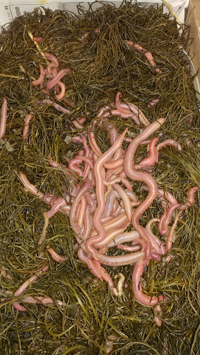 Archery Store «Northern Dutchess Archery», reviews and photos, 7375 S Broadway, Red Hook, NY 12571, USA