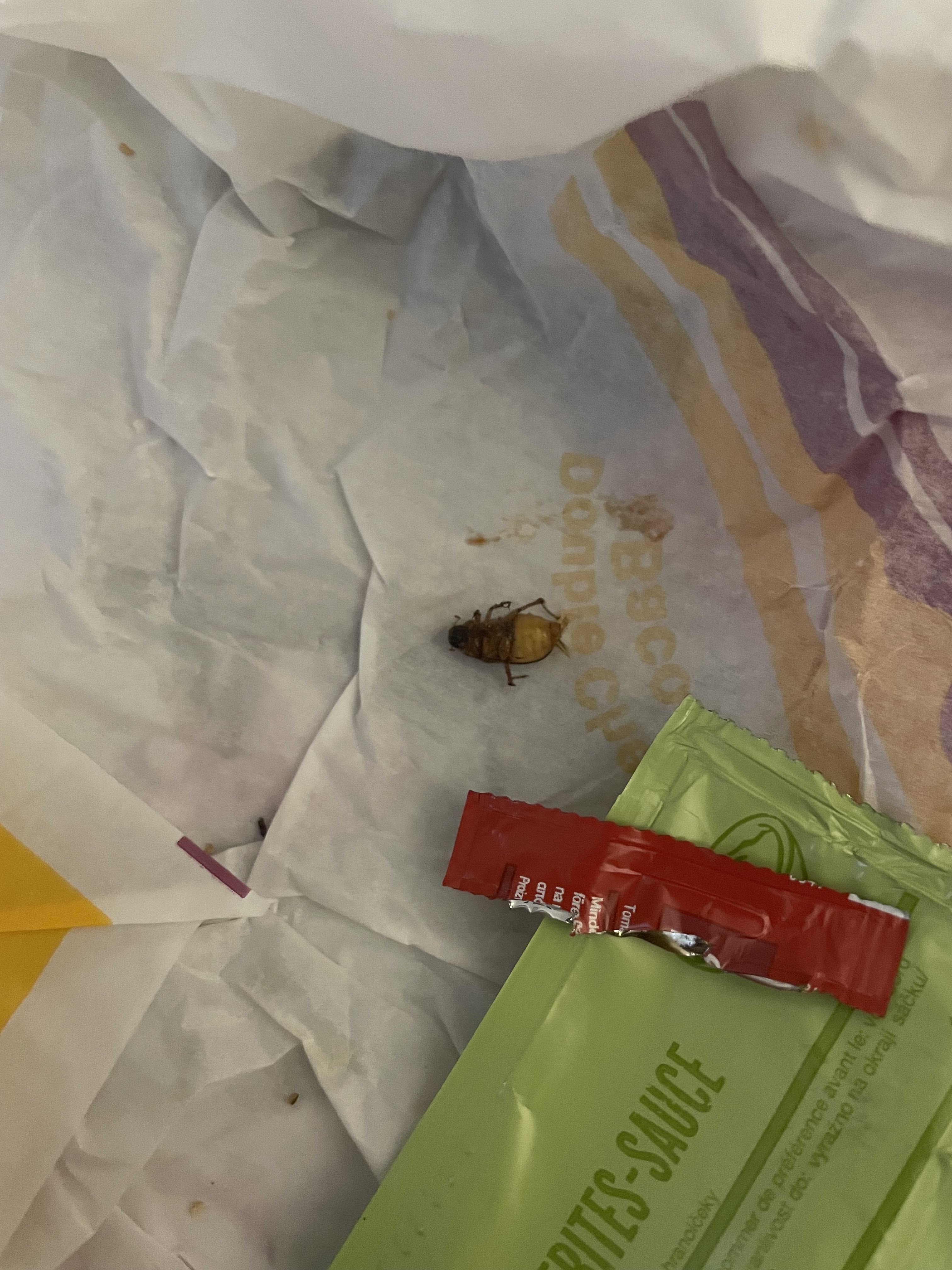 Photo n° 1 de l'avis de StiViX. fait le 16/06/2023 à 21:49