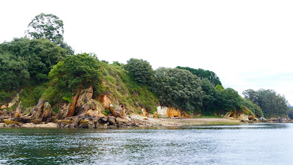 Playa de Arnao de Figueras