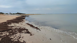 Foto von Plage des Sables d'Or mit etwas sauber Sauberkeitsgrad