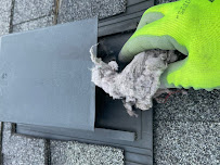 Roy's Vent Care - Photo 2 - Car repair in Newbury Park, CA, Thousand Oaks
