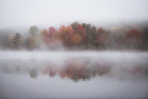 Jill Sanders Gallery - photo 15