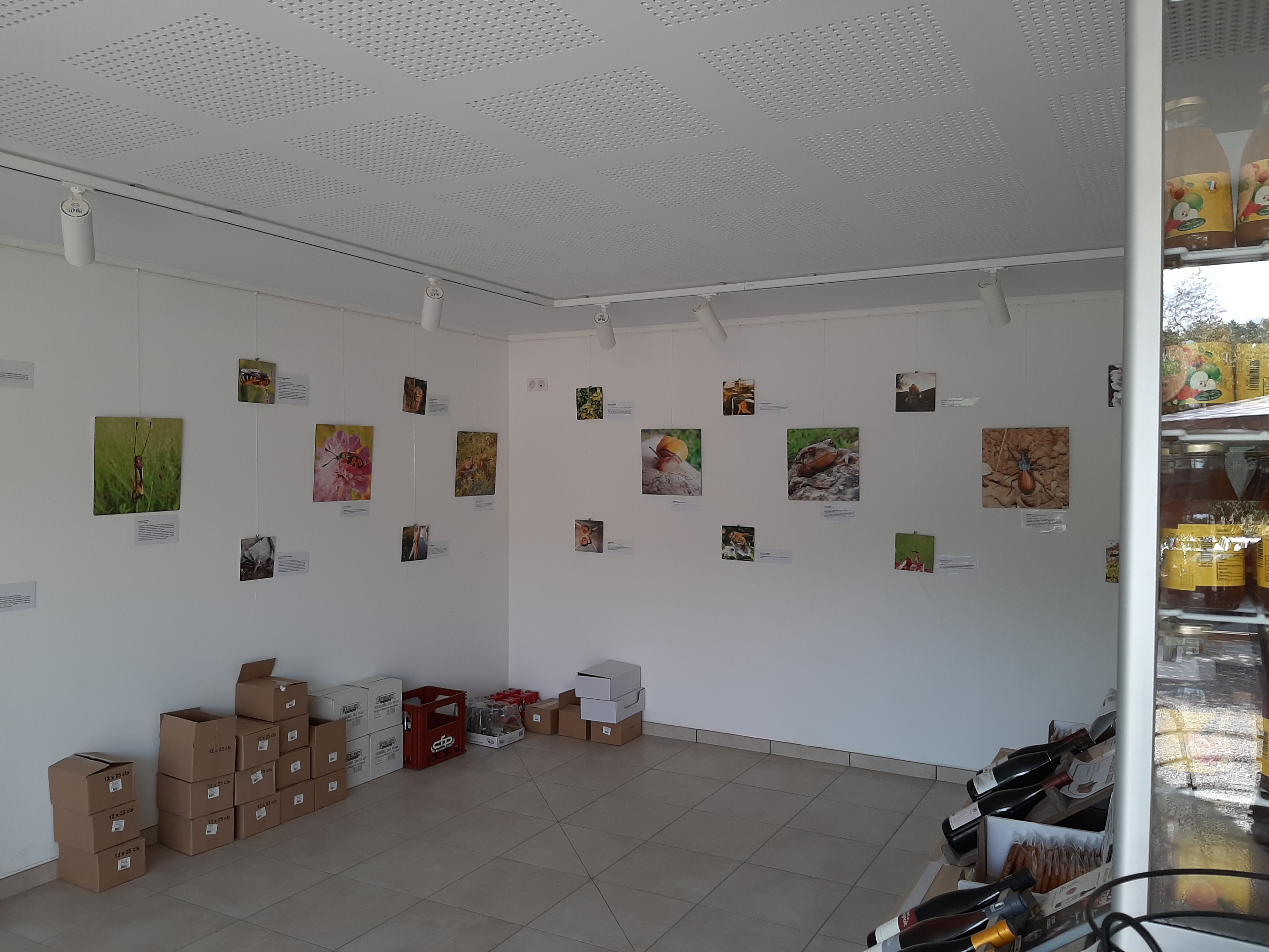 Photo n° 1 de l'avis de Jean-Philippe.O fait le 14/08/2021 à 16:41