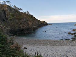 Playa de Monellos'in fotoğrafı küçük koy ile birlikte