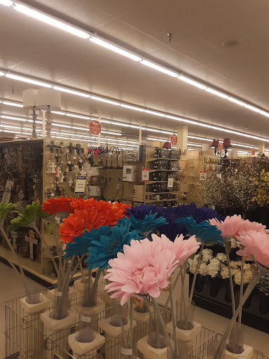 Craft Store «Hobby Lobby», reviews and photos, 44725 Schoenherr Rd, Sterling Heights, MI 48313, USA