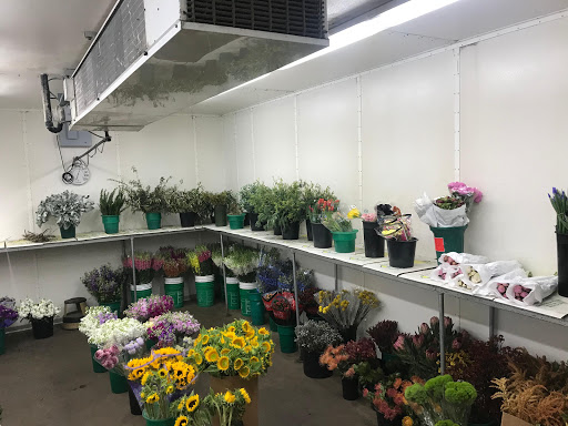 Springfield Wholesale Flowers // The Retail Division of Springfield Florists Supply Inc