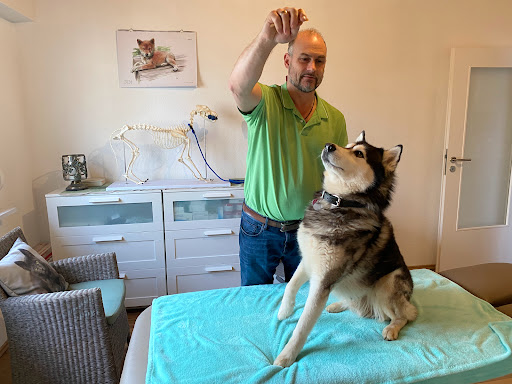 Dr. med. vet. Steffen Kappelmann unter Schwäbisch Hall, Baden Württemberg