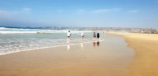 Wavecrest beach