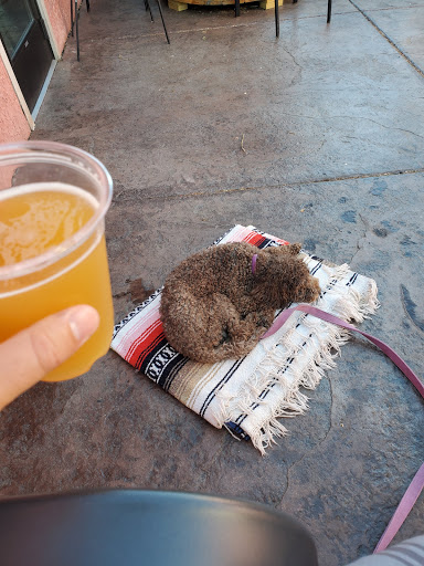 Brewery «Wicked Wort Brewing Company», reviews and photos, 4165 W Broadway Ave, Robbinsdale, MN 55422, USA