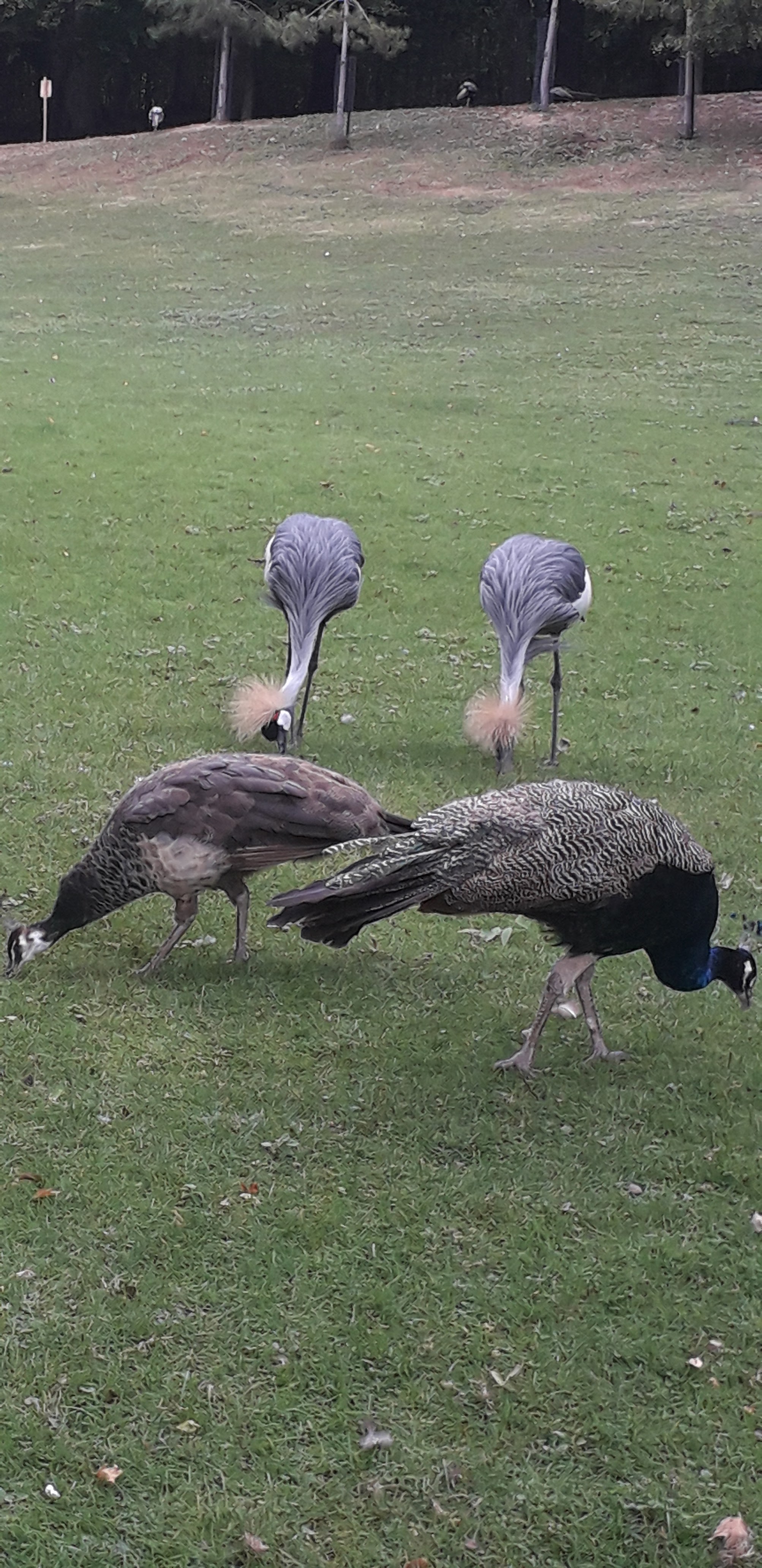 Photo n° 47 de l'avis de lilou.i fait le 19/09/2020 à 16:48