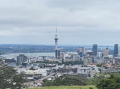 Auckland Lookout