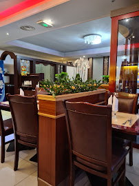 Atmosphère du Restaurant Chinois Le Wok Du Mandarin à Joigny - n°1