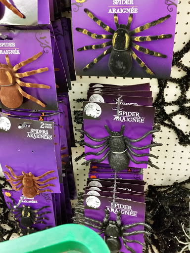 Dollar Store «Dollar Tree», reviews and photos, 100 NJ-23 #10, Franklin, NJ 07416, USA