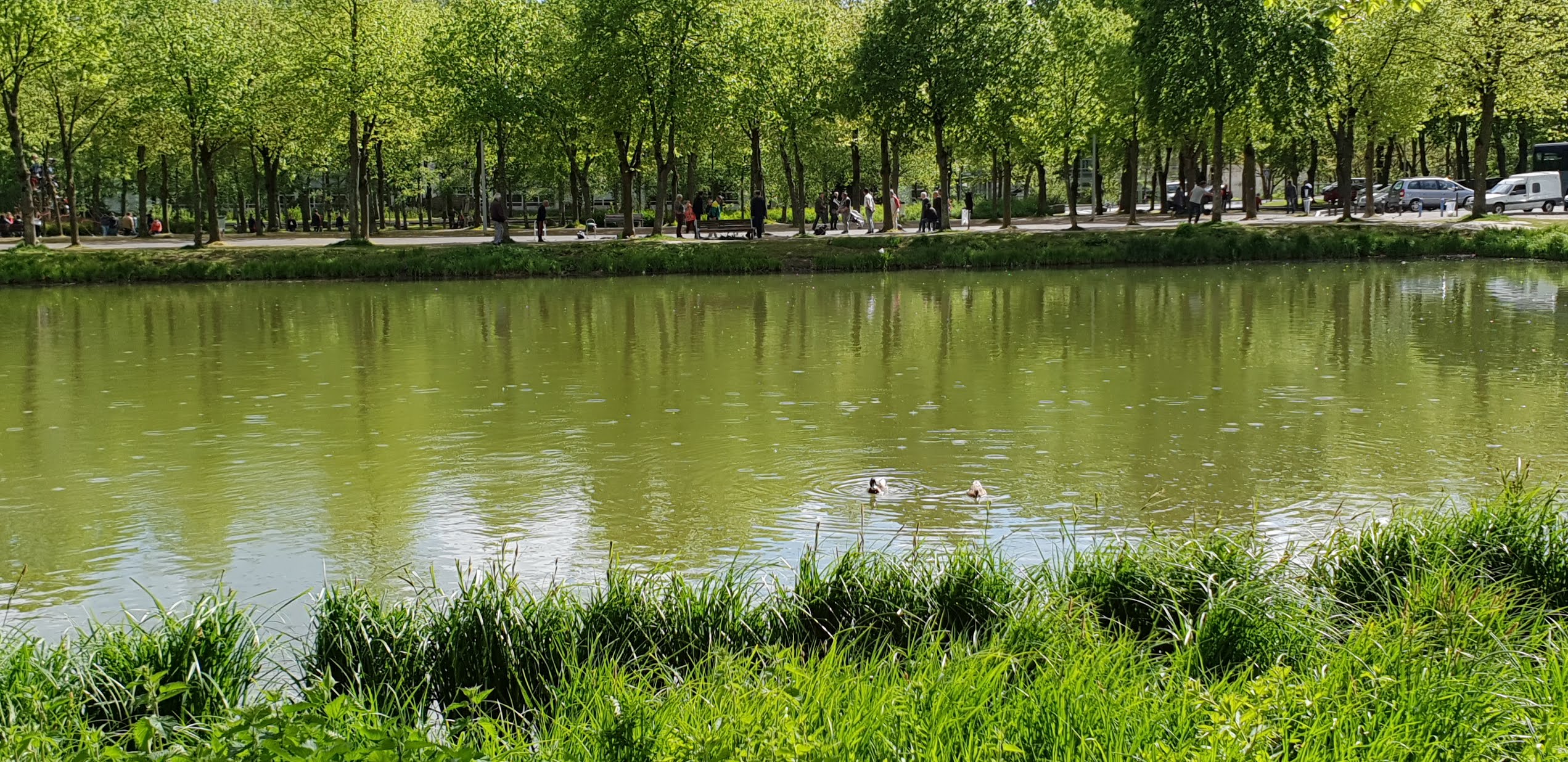 Photo n° 15 de l'avis de Dominique.A fait le 26/04/2019 à 16:27