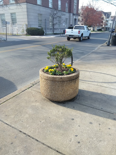 Dollar Store «Dollar Tree», reviews and photos, 39 N Lansdowne Ave #45, Lansdowne, PA 19050, USA