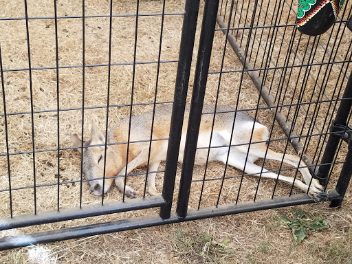 Fairground «Kitsap County Fairgrounds», reviews and photos, 1200 Fairgrounds Rd NW, Bremerton, WA 98311, USA