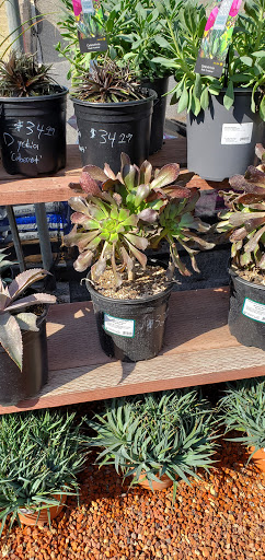 Hardware Store «Payless Hardware, Rockery and Nursery», reviews and photos, 2927 King Rd, San Jose, CA 95122, USA