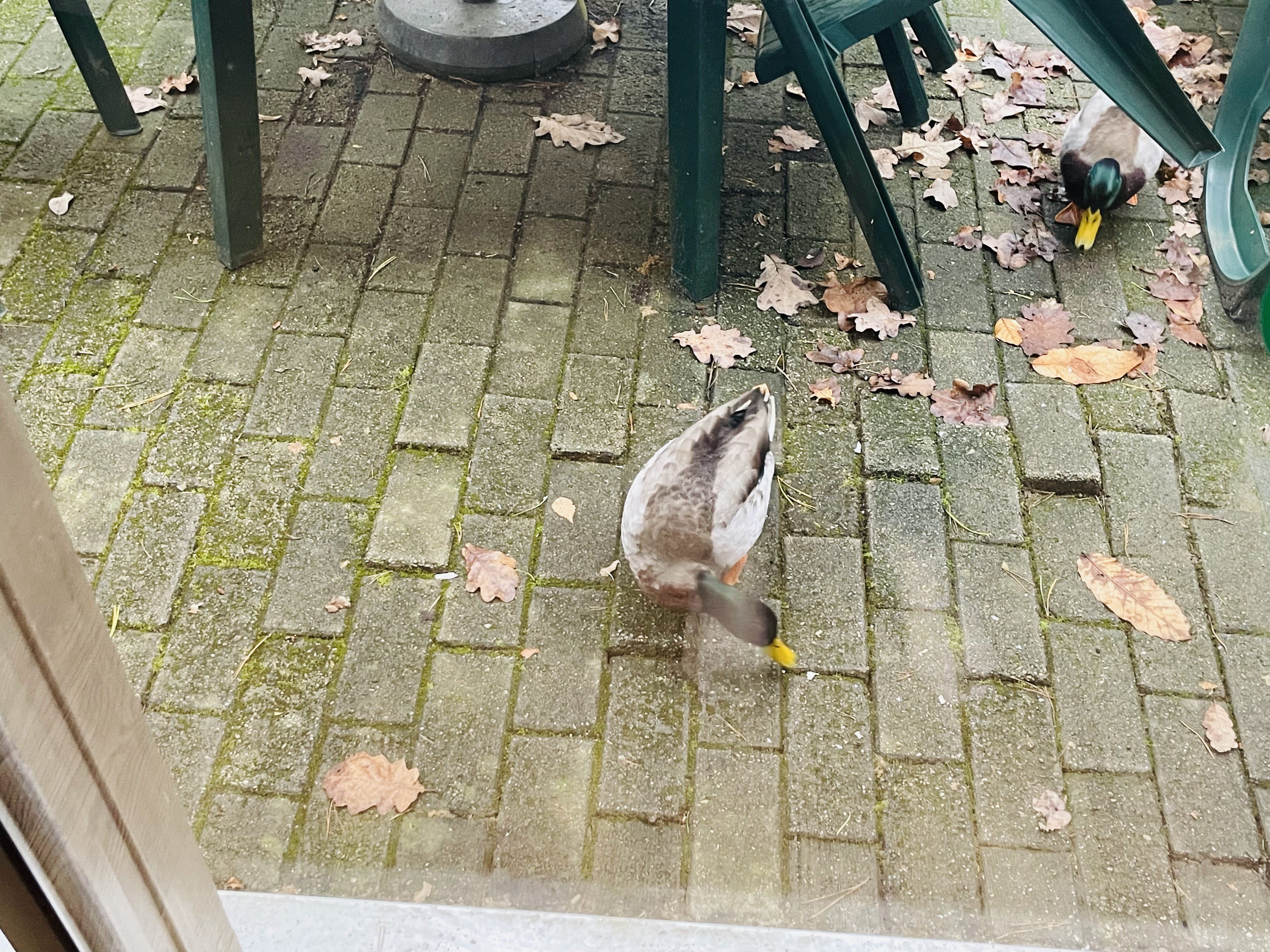 Photo n° 12 de l'avis de Céline. fait le 06/01/2024 à 14:16