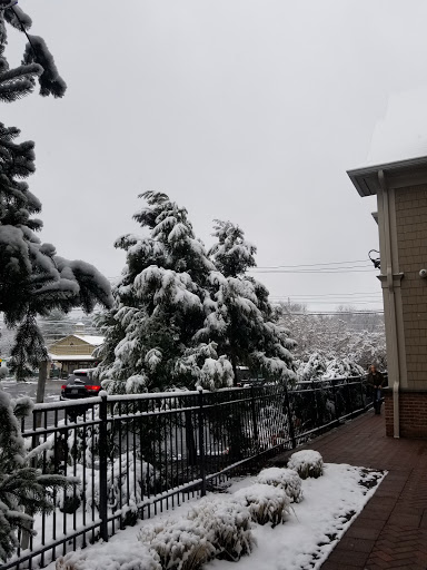 Cafe «Tazza Cafe», reviews and photos, 400 Main St, Armonk, NY 10504, USA