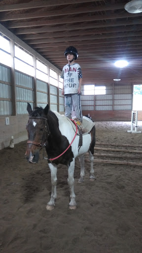 Horse Riding School «Horseng Farm LLC», reviews and photos, 6475 Warden Rd, New Tripoli, PA 18066, USA