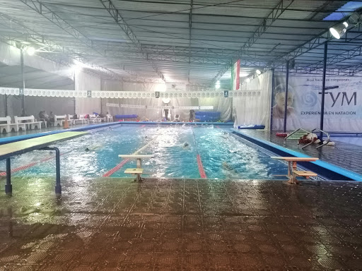 Instructor de natación Guadalupe