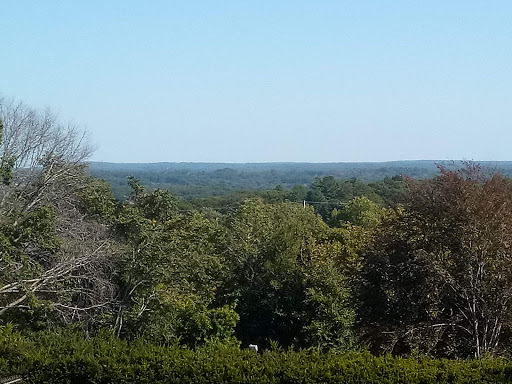 Museum «EcoTarium», reviews and photos, 222 Harrington Way, Worcester, MA 01604, USA