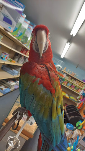 Tropical Fish Store «Midway Tropical Fish & Pets», reviews and photos, 24101 Pacific Hwy S, Kent, WA 98032, USA